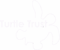 Turtle Trust